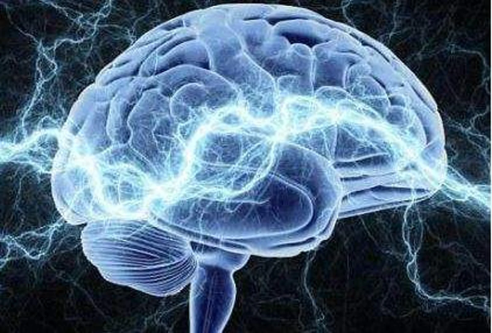 人类可能要战胜死亡了！重磅科技突破：复活了死掉的大脑