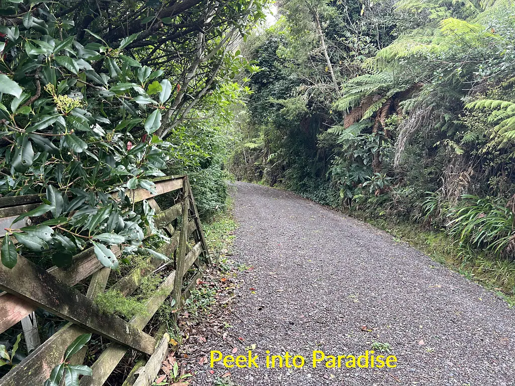 Opua 4Kwarto A Peek Into Paradise !