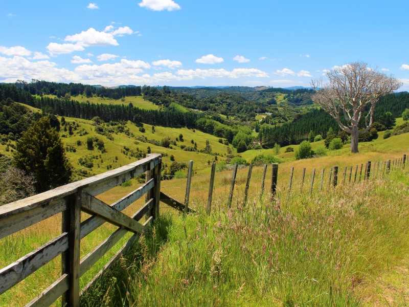 121 Krippner Road, Puhoi, Auckland - Rodney, 4 ห้องนอน, 1 ห้องน้ำ