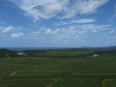Address Withheld, Lower Cowley, QLD 4871, 3 phòng ngủ, 0 phòng tắm, Lifestyle Property