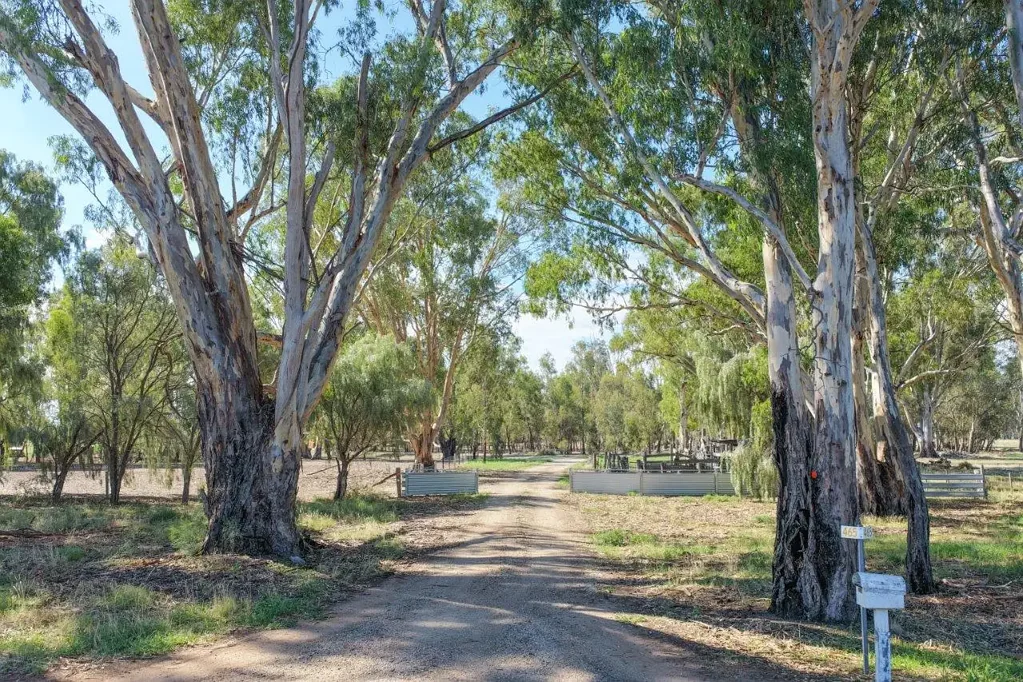 Barham  A rare lifestyle sanctuary where heart, home and land come together