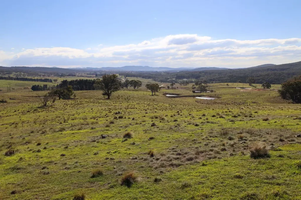 Boro The Ultimate Lifestyle Acreage