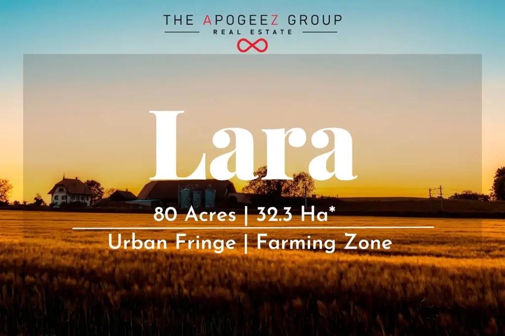Lara A Dream Investment Opportunity