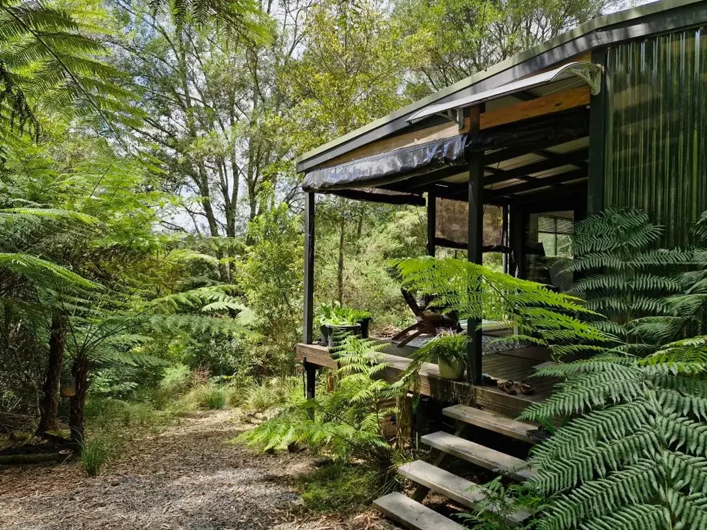 776 Lower Bielsdown Road, Tallowwood Ridge, NSW 2453