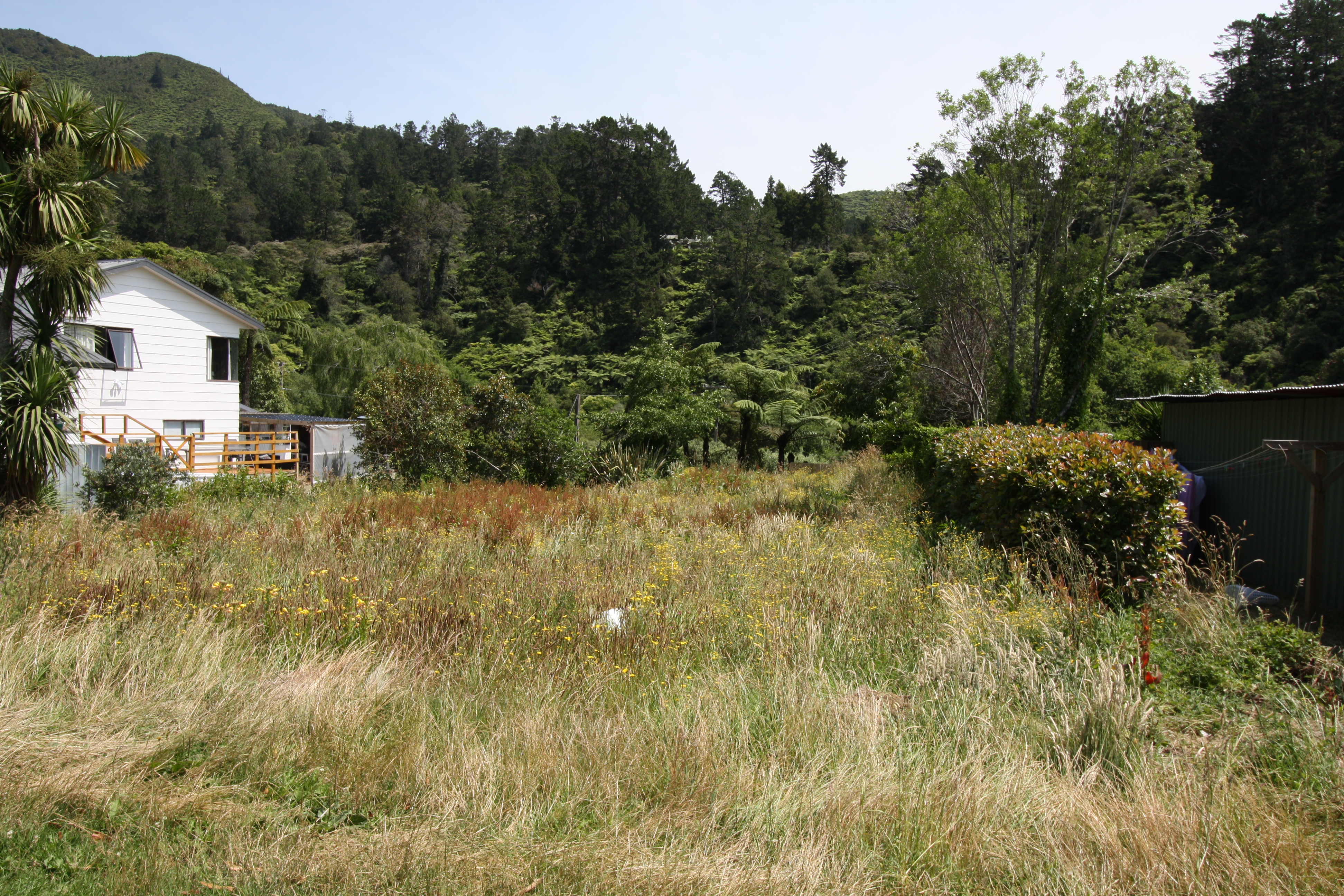 5 Primrose Lane, Karangahake, Hauraki, 0 Bedrooms, 0 Bathrooms