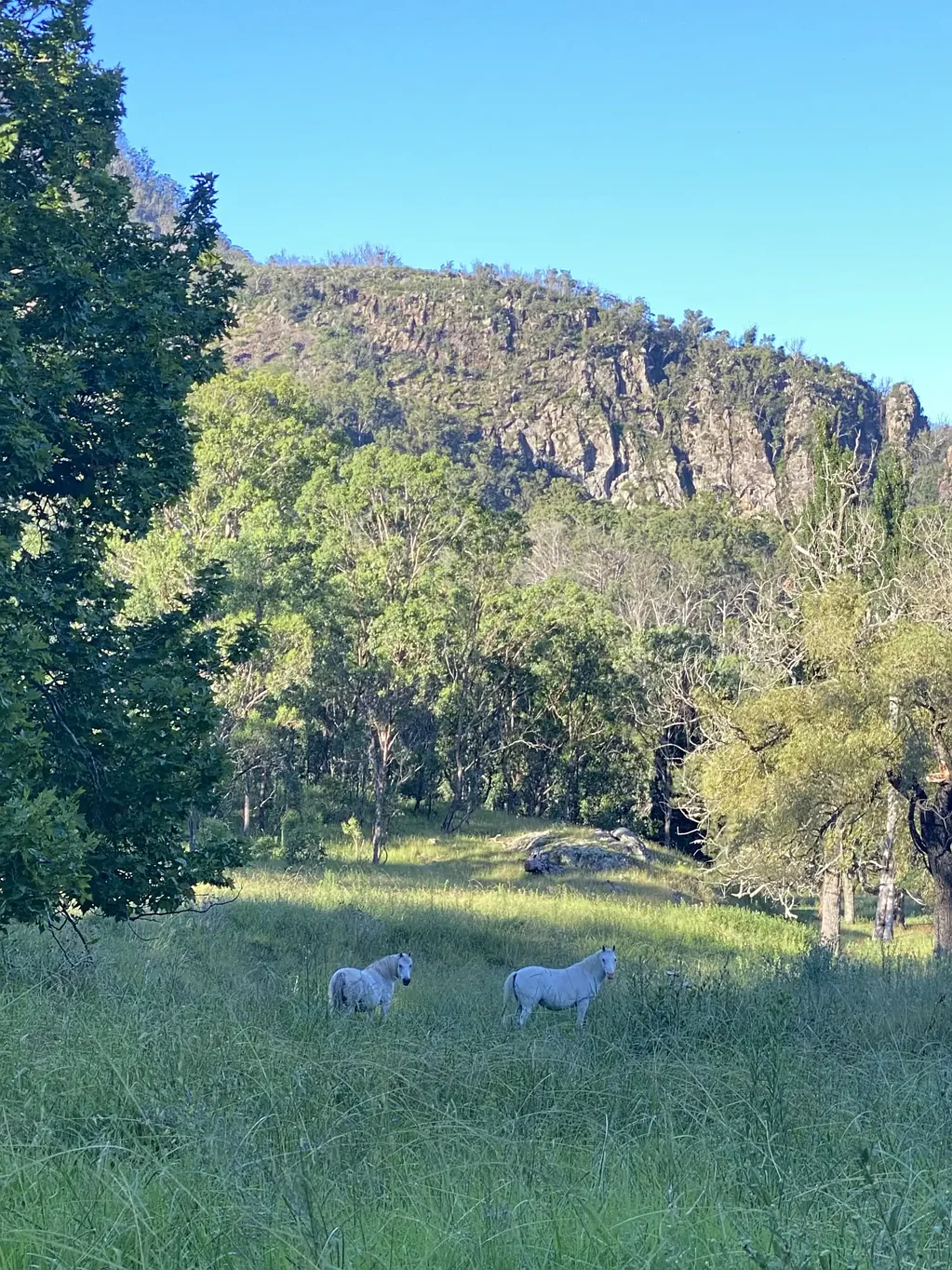 LOT 19 Top Swanfels Road, Swanfels, QLD 4371