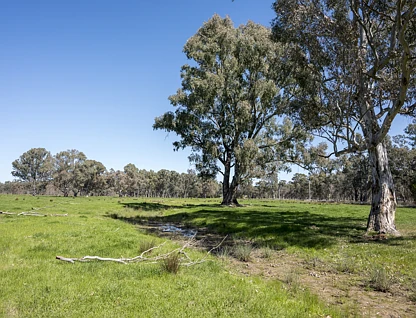 CA32 Baddaginnie-Benalla Road, Benalla, Wangaratta, 0 habitaciones, 0 baños, Lifestyle Property