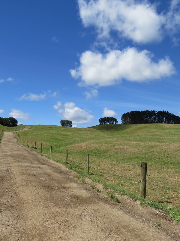 671 Sandel Road, Mangakino, Taupo, 0房, 0浴