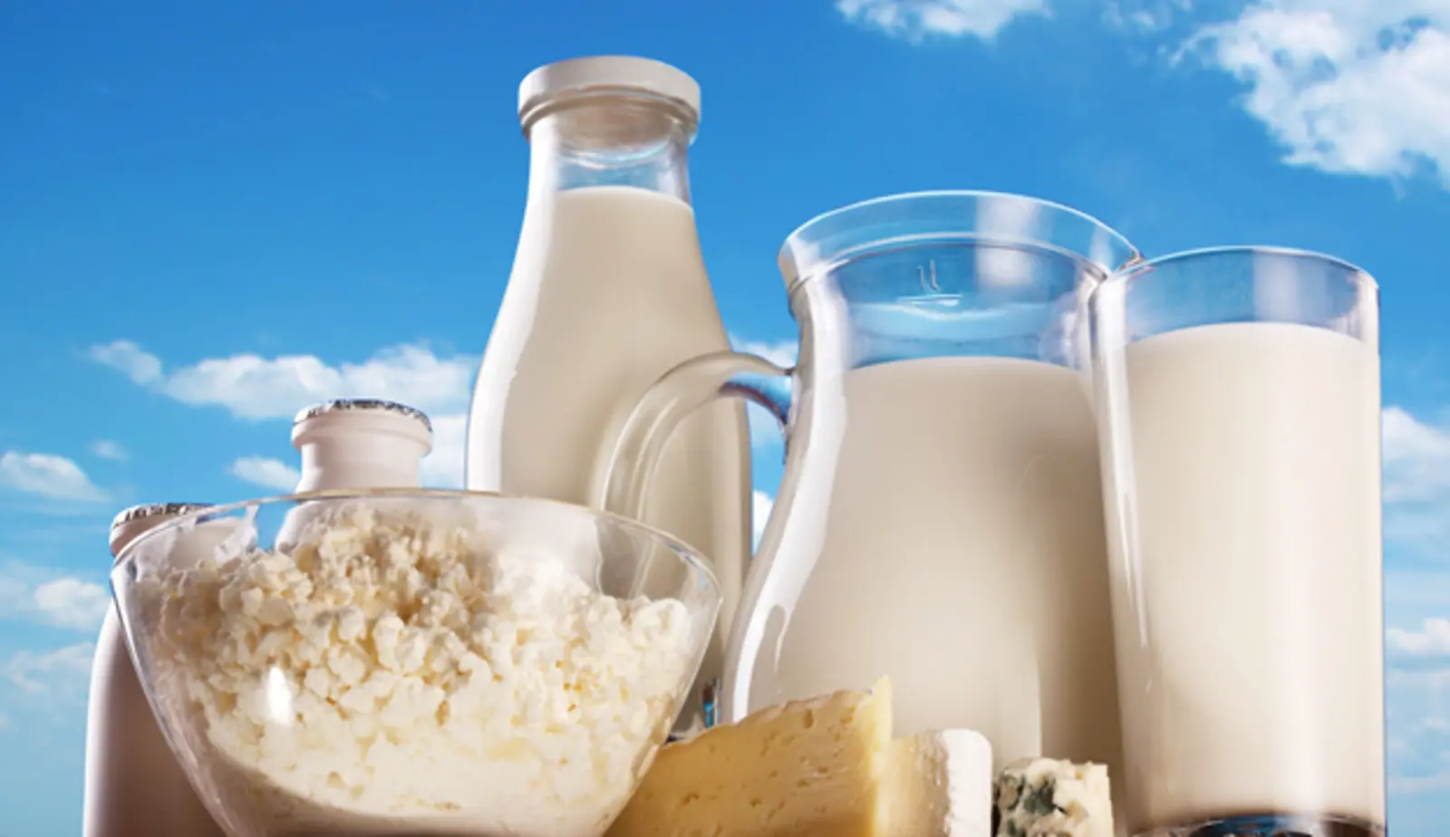 乳品拍卖各类产品价格涨跌不一