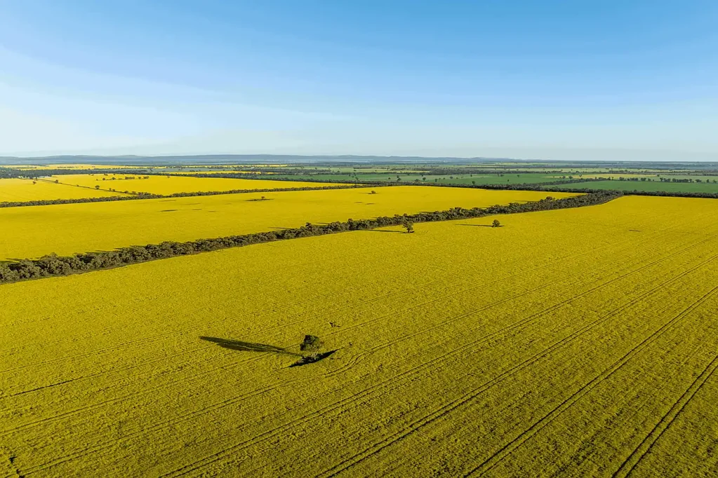 West River 'Waddikee' Aggregation, West River / Dunn Rock
Large Scale, Highly Improved Cropping Portfolio