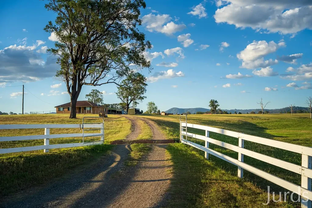 Dalwood A View to a Beautiful Life