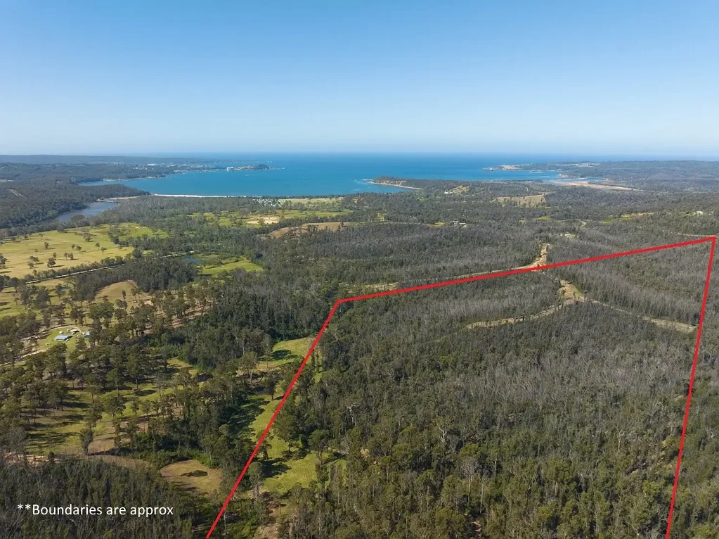 Lot 3 DP 624612 Nullica Short Cut Rd Boydtown Via, Eden, NSW 2551