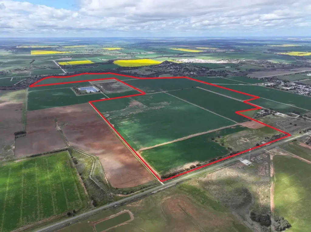 Pyramid Hill Established Irrigation Property