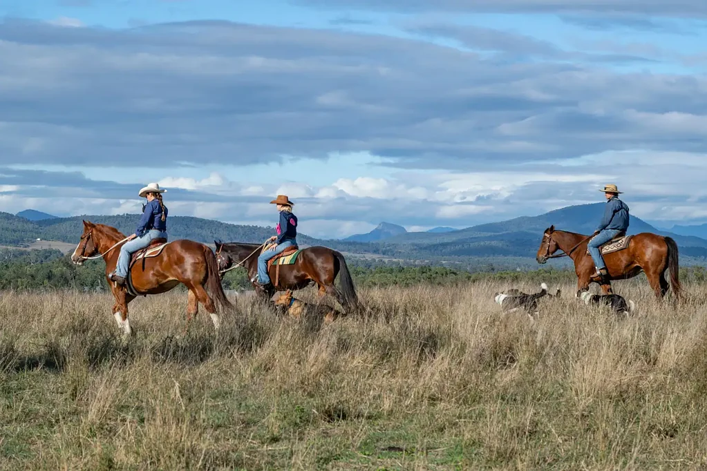 Rosevale "Valkyrie" - Productive Country Meets an Exceptional Rural Lifestyle