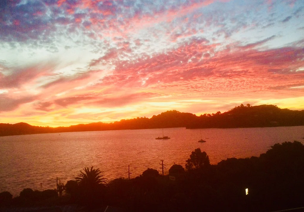 Coromandel 2房  Dream Build, Circumstances Changed