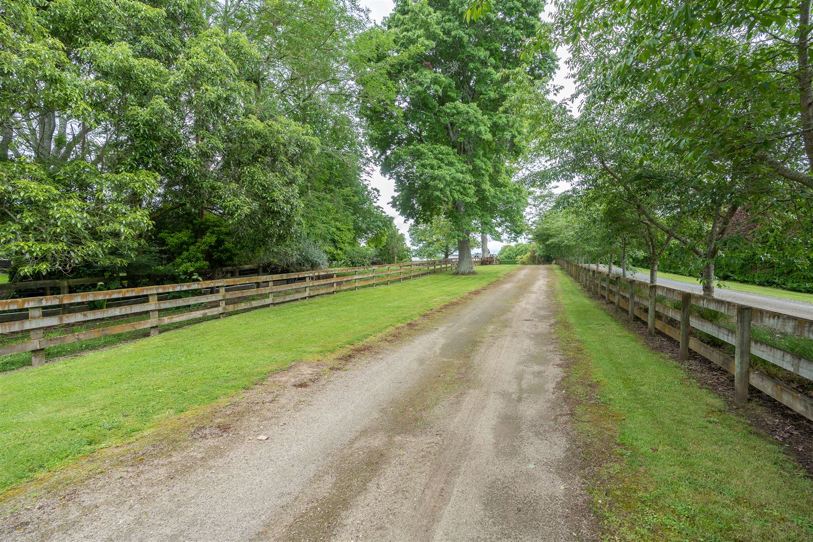 68 Webster Road, Matangi, Waikato, 5 Kuwarto, 0 Banyo