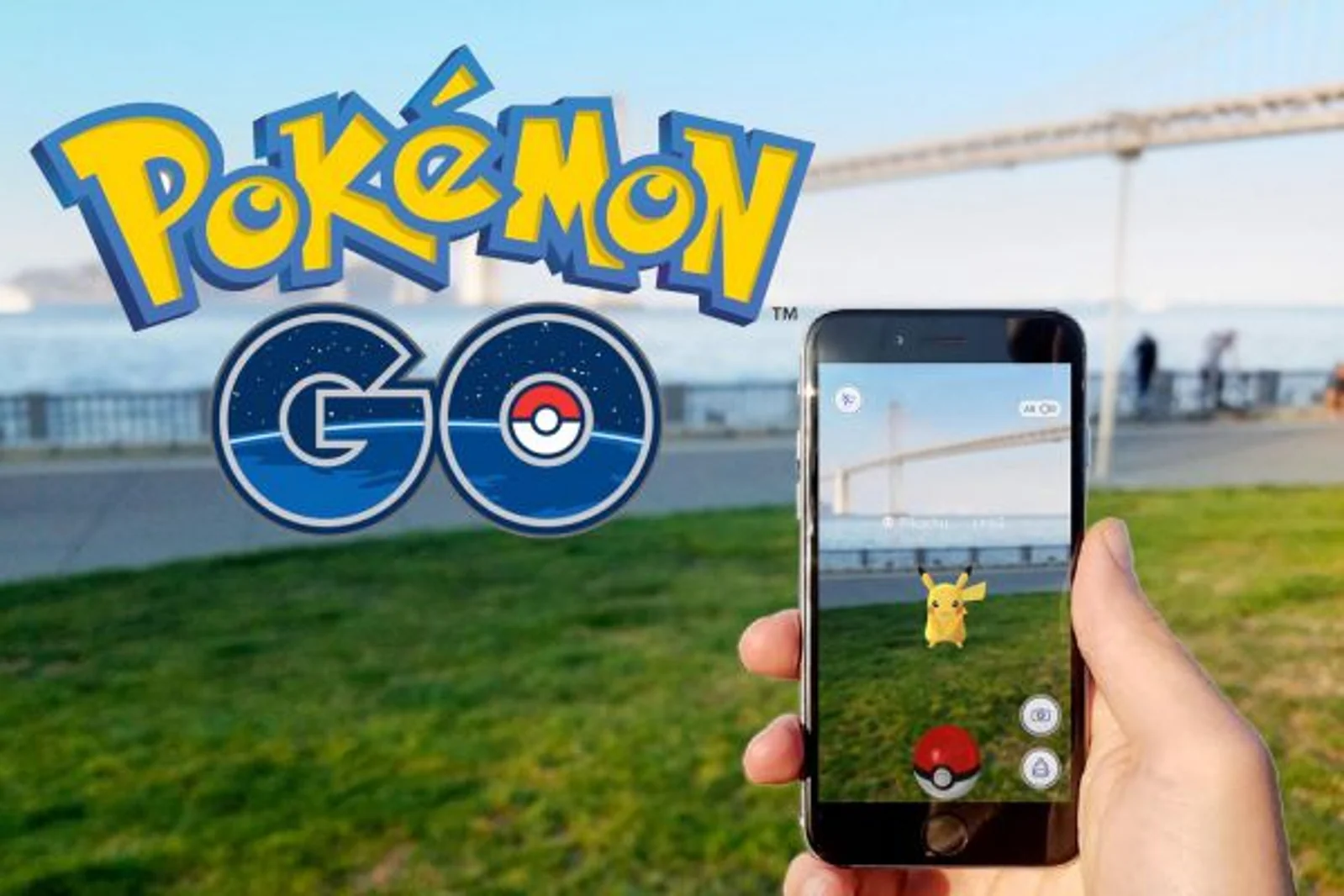 Pokemon都去哪了?新西兰统计局帮你找找找!
