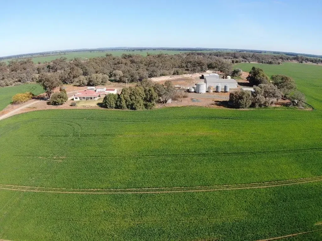 Barmedman  'ALLENDALE' 233 WAARBILLA ROAD BARMEDMAN