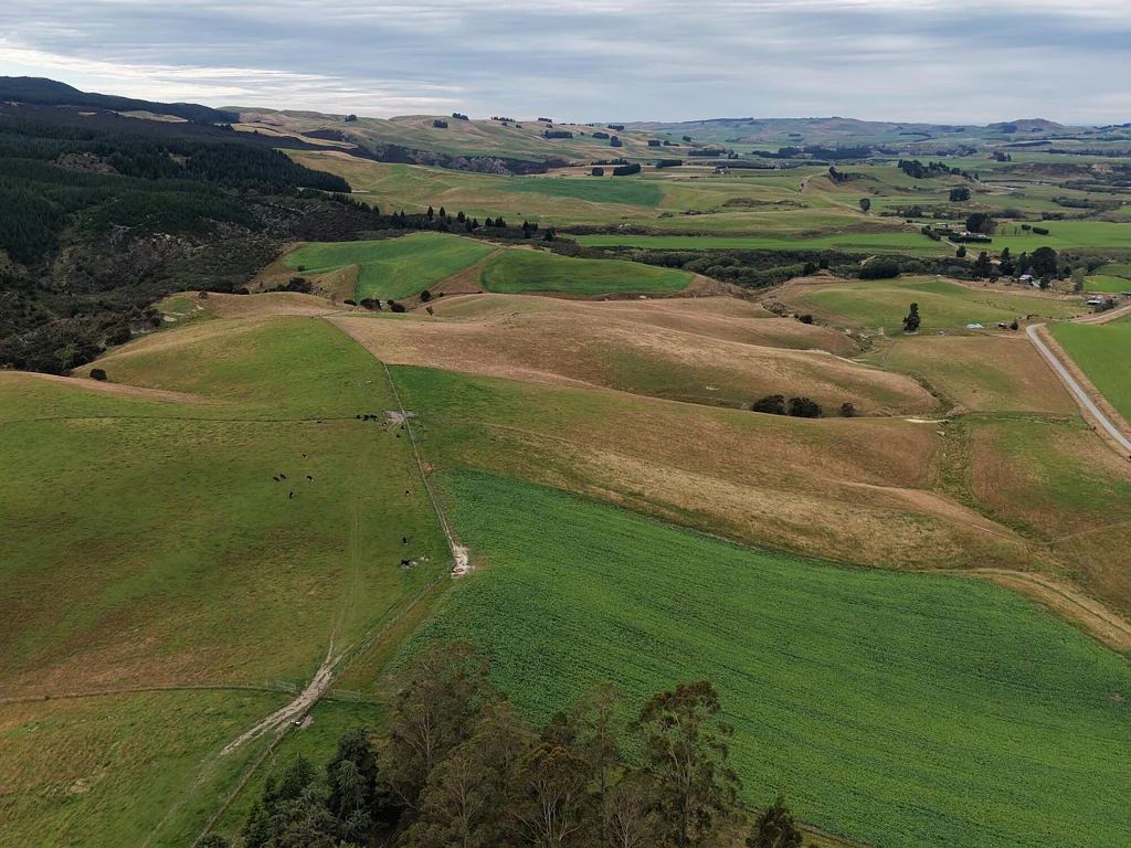 Waimate Extensive and versatile - retiring vendors