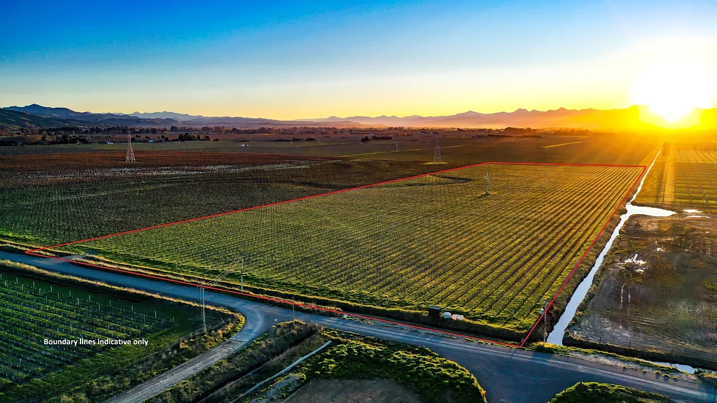 Blenheim Central  Solid Lower Wairau Sauvignon Blanc vineyard