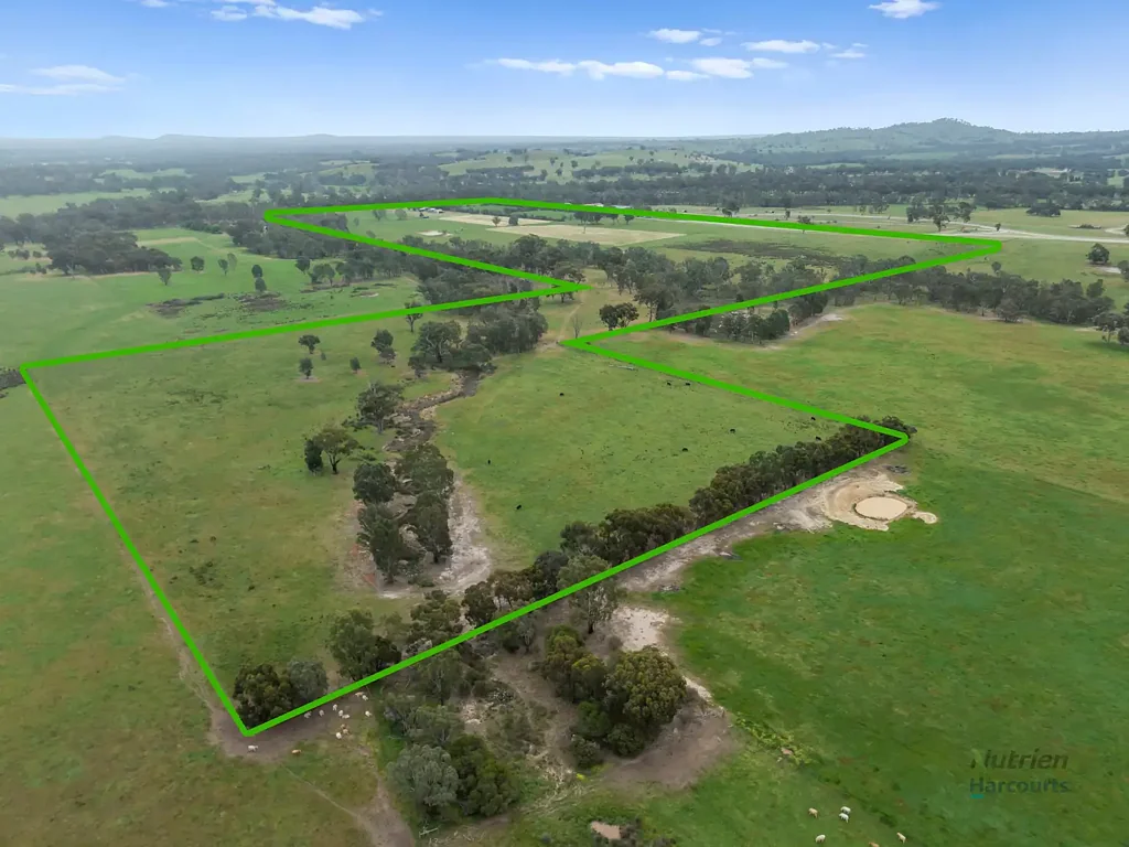 Whiteheads Creek The Perfect Equine Lifestyle Awaits