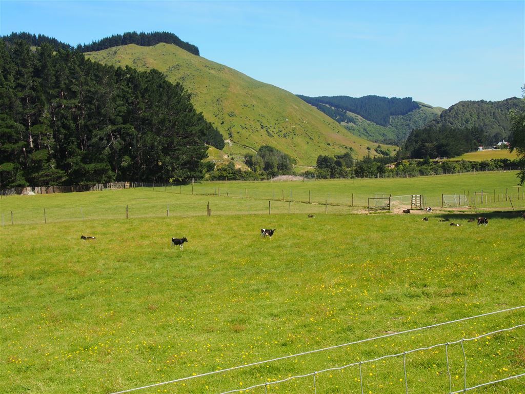 156 Akatarawa Road, Waikanae, Kapiti Coast, 5 રૂમ, 3 બાથરૂમ