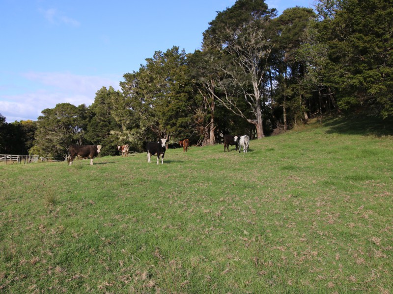 468 Mangamuka Road, Mangamuka, Far North, 0 rūma, 0 rūma horoi