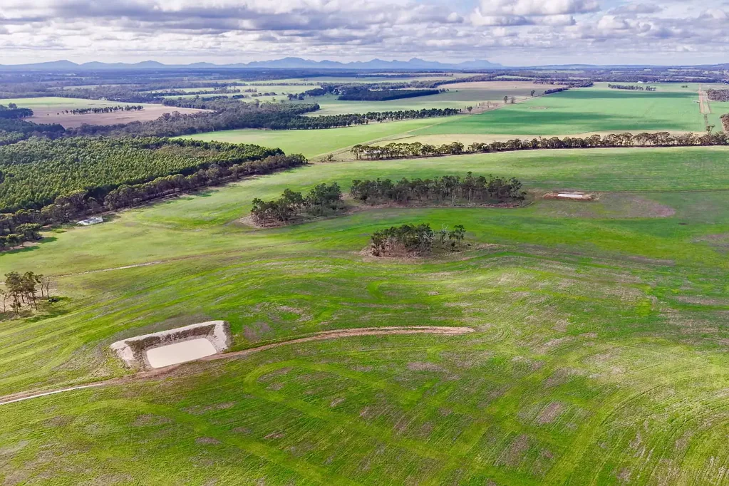 Mount Barker 'Taylor'