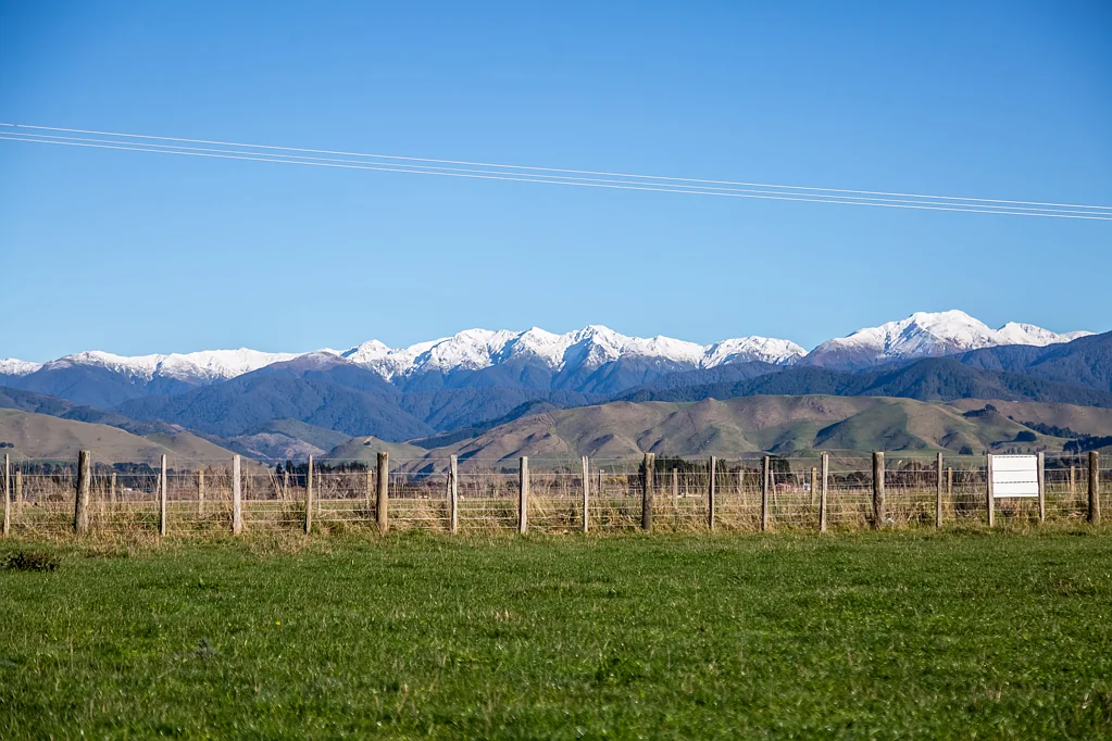 Masterton Vendor wants sold now!