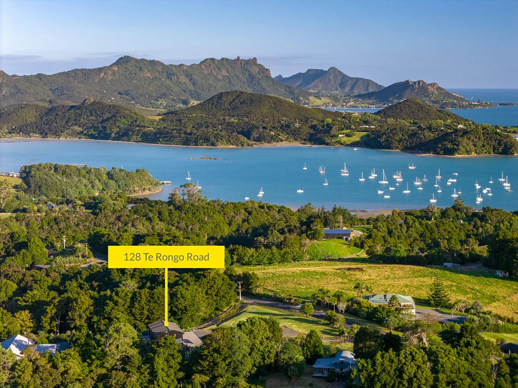 Parua Bay 3 Slaapkamer Views, Shed, Build Site, and a Saloon. Must Sell!