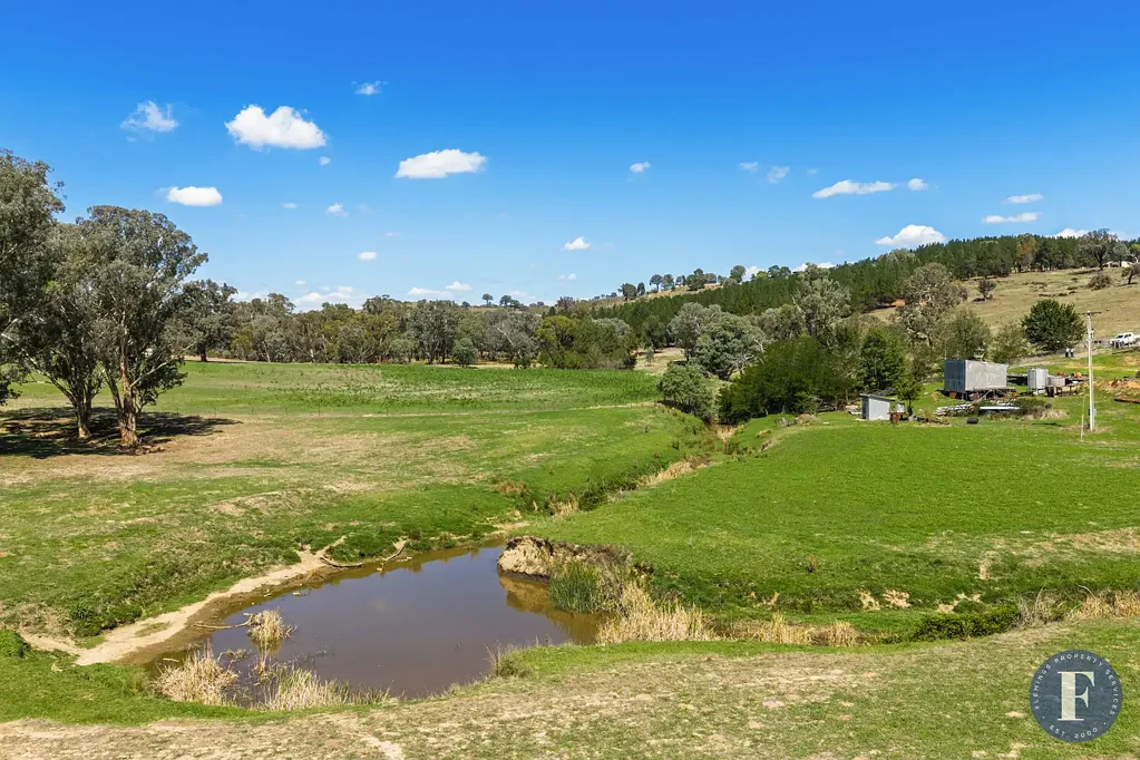 Taylors Flat  115 Acres* of Opportunity – Crop, Graze or Create Your Dream