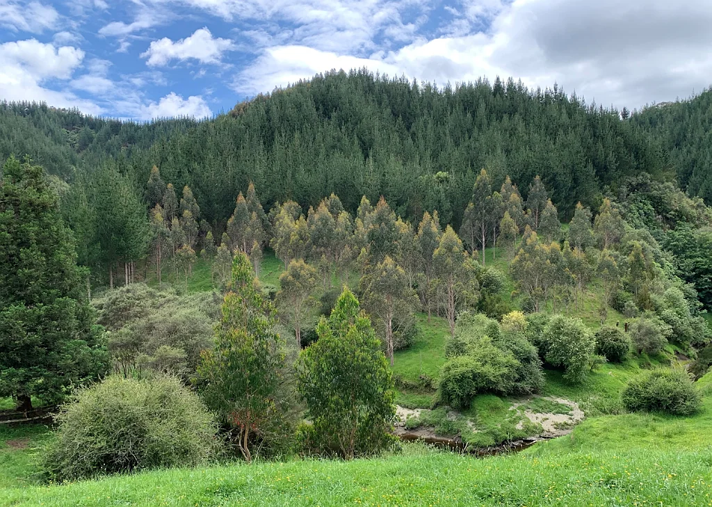 Pohokura and Surrounds INVEST FOR FUTURE RETURNS