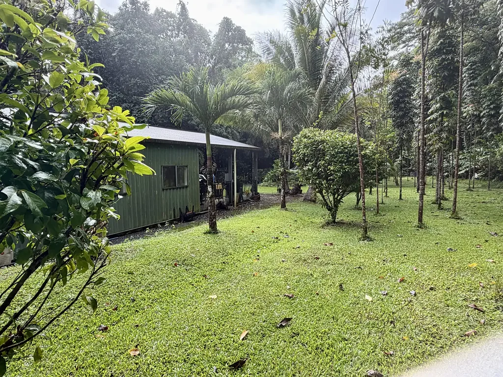 Daintree 3 Slaapkamer MORE THAN MEETS THE EYE...