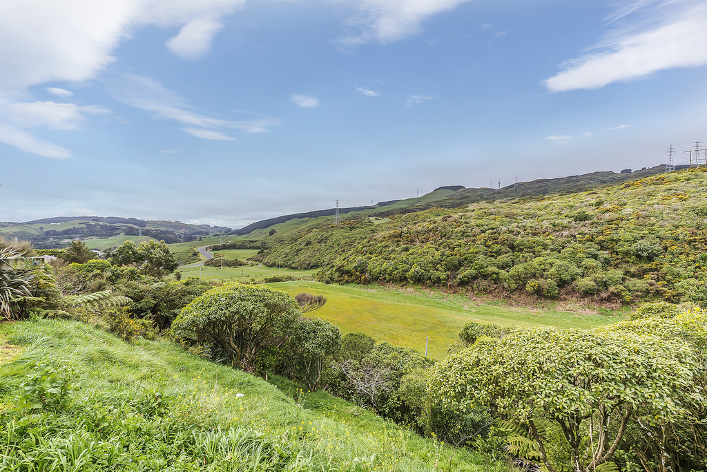 45 Nassau Avenue, Grenada North, Wellington, 3 ਕਮਰੇ, 0 ਬਾਥਰੂਮ