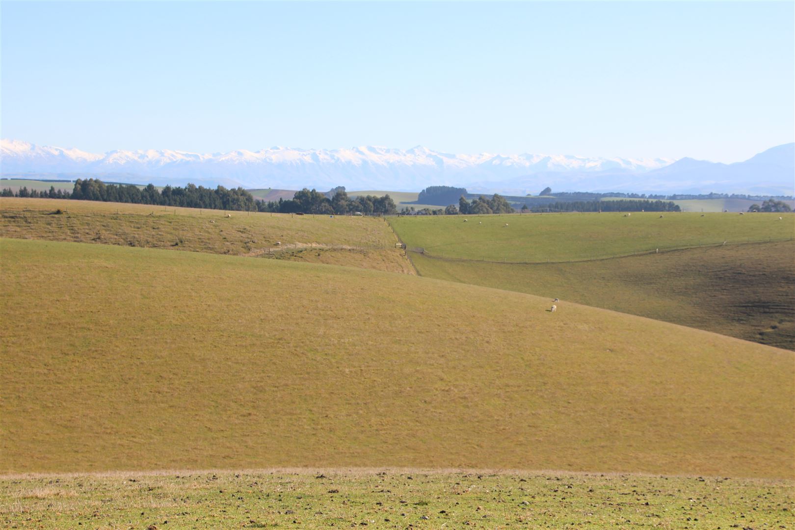 632 Rolling Ridges Road, Levels Valley, Timaru, 0 rūma, 1 rūma horoi