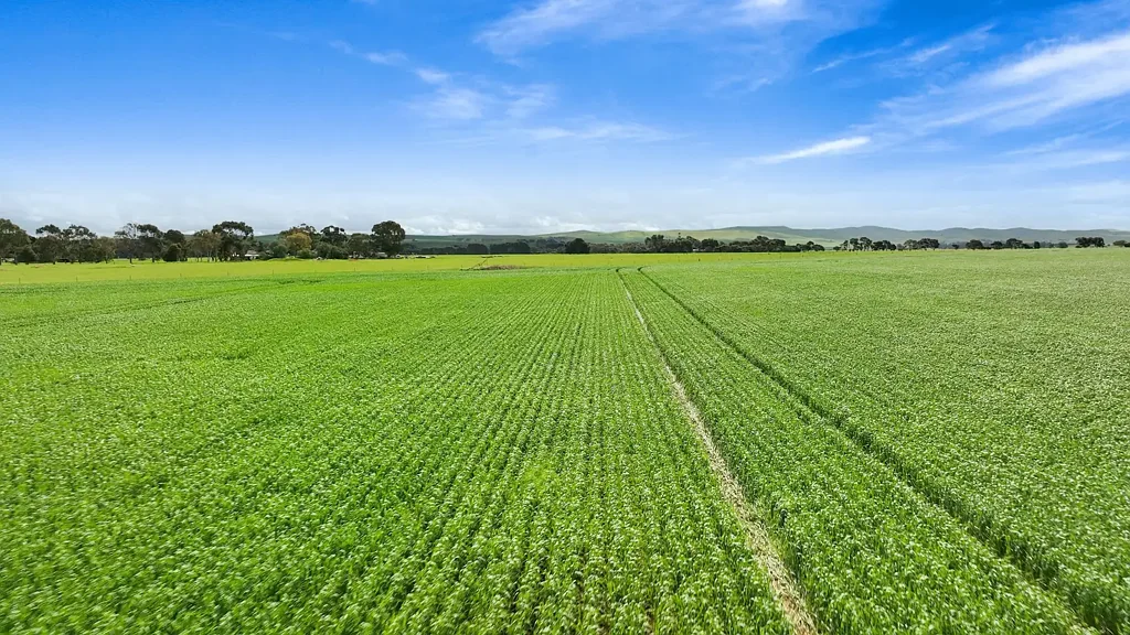 Booborowie Quality Fertile Farming Land