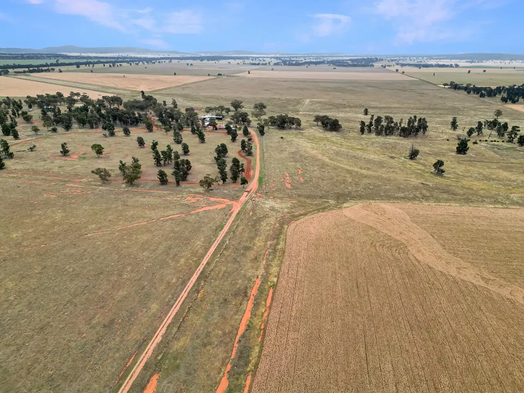 Tallimba  Productive Mixed Farming