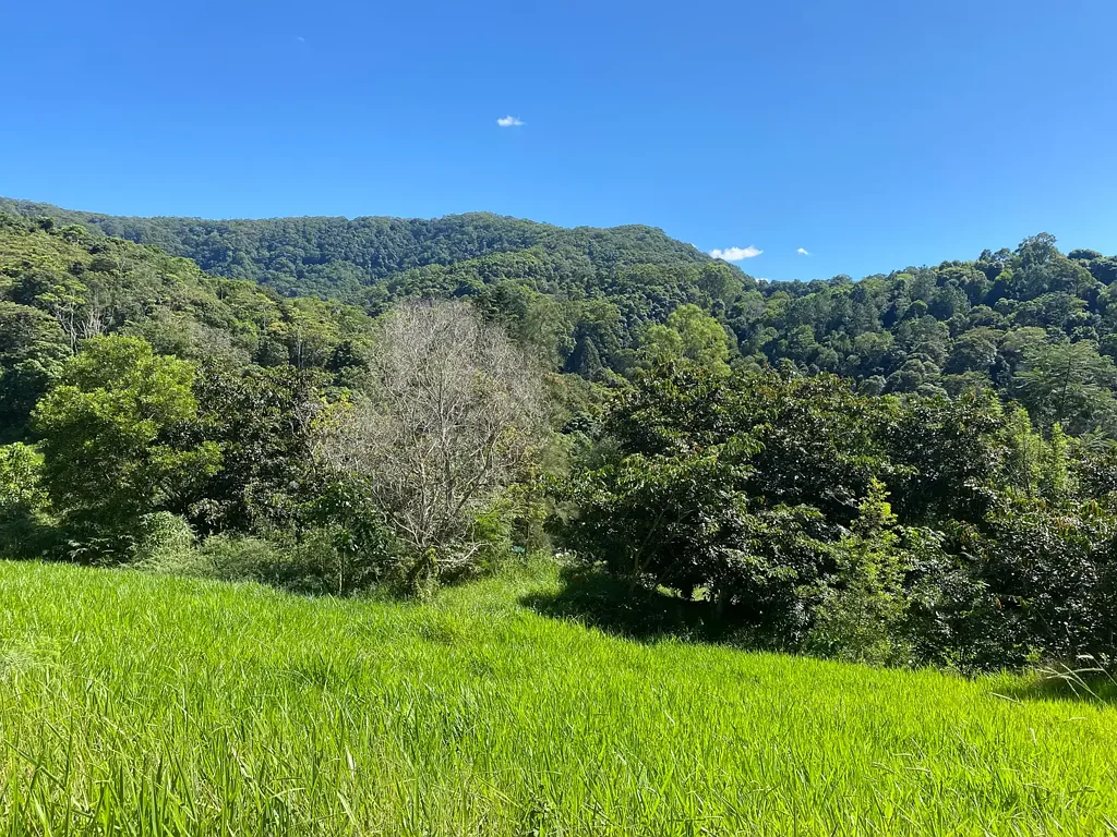 Kin Kin 3chambre Idyllic Acreage with Incredible Potential – Bonus Eco Home in Kin Kin’s Golden Pocket