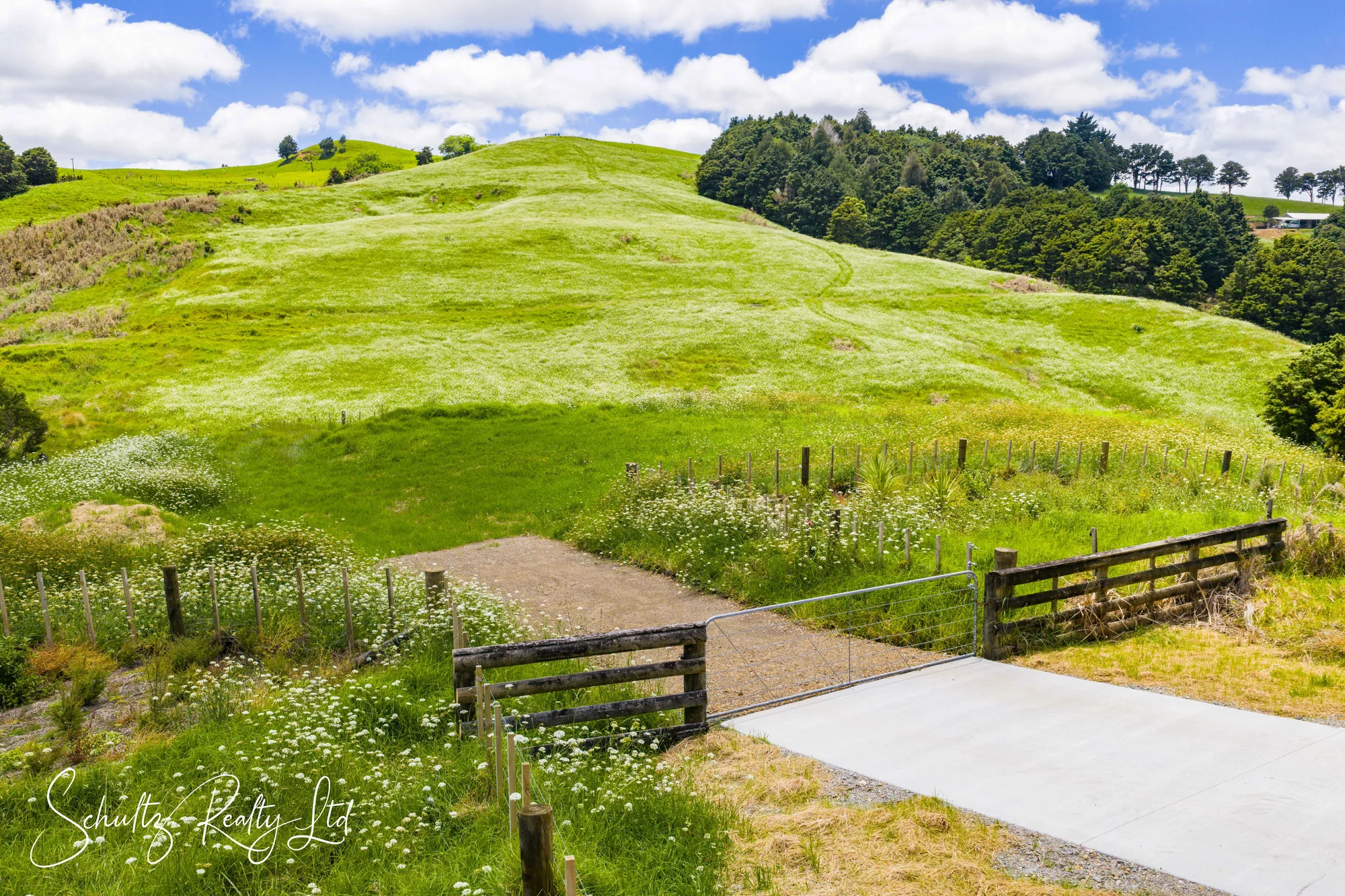 Paparoa The Perfect Place to Begin