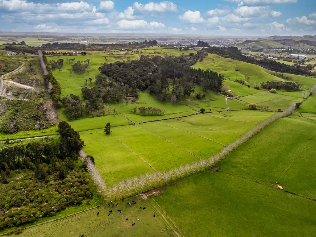 Kaitaia 4房  Stunning Grazing Property