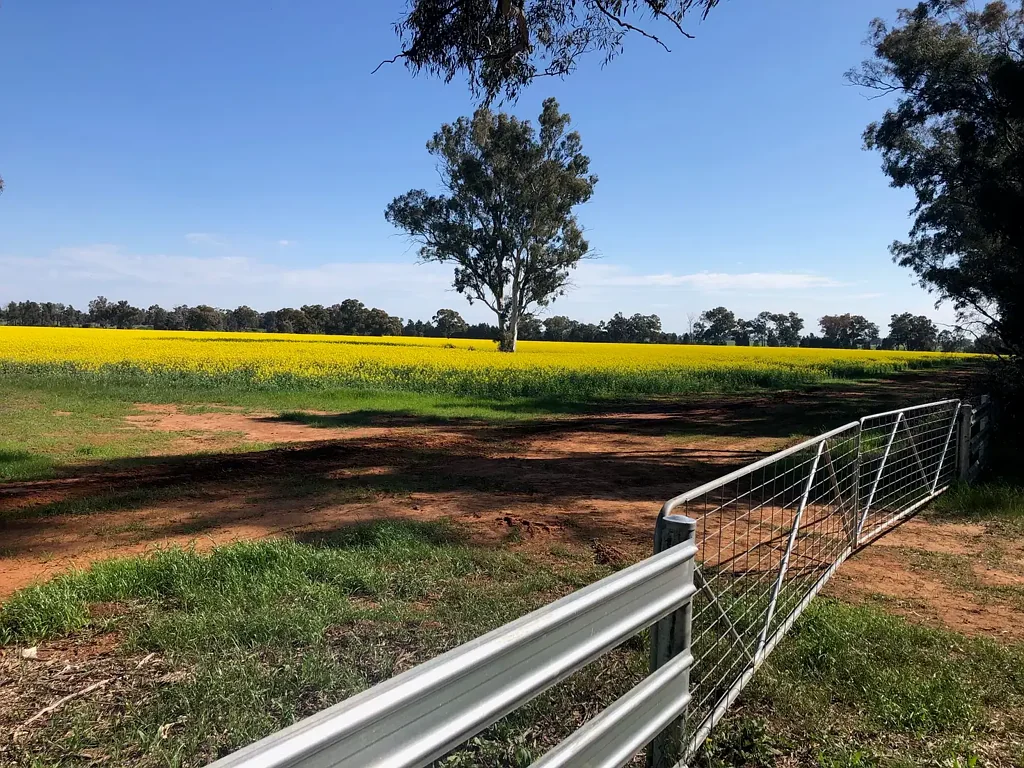 Lot 155 DP750852 Burley Griffin Way, Ariah Park, NSW 2665