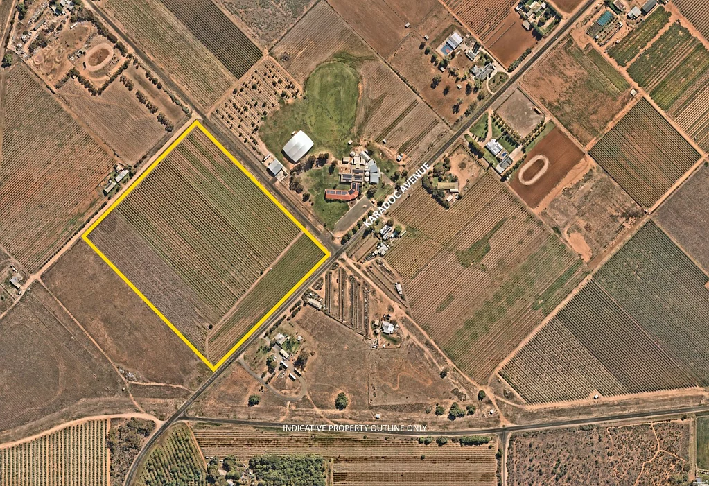Irymple 19 ACRE ?COLLEGE LEASE? VINEYARD