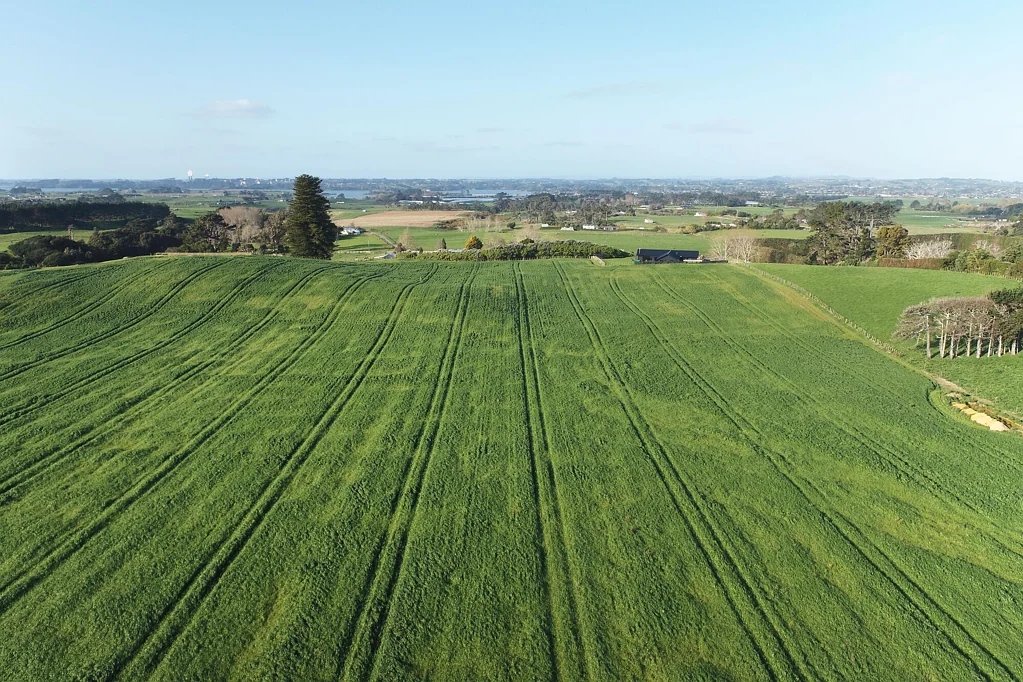 Waiuku Thinking of building in the Auckland countryside?