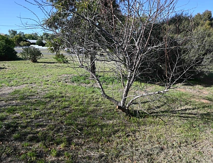 46a Sullivan Street, Inglewood, Bendigo, 0 rūma, 0 rūma horoi, Section