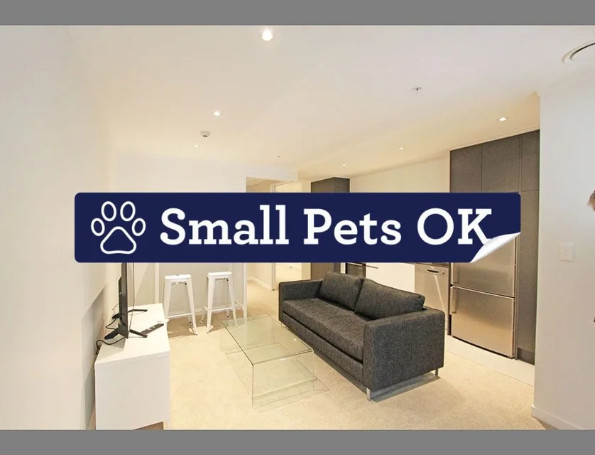 313/147 Nelson Street, Auckland Central, Auckland City, 2 ห้องนอน, 1 ห้องน้ำ, Apartment