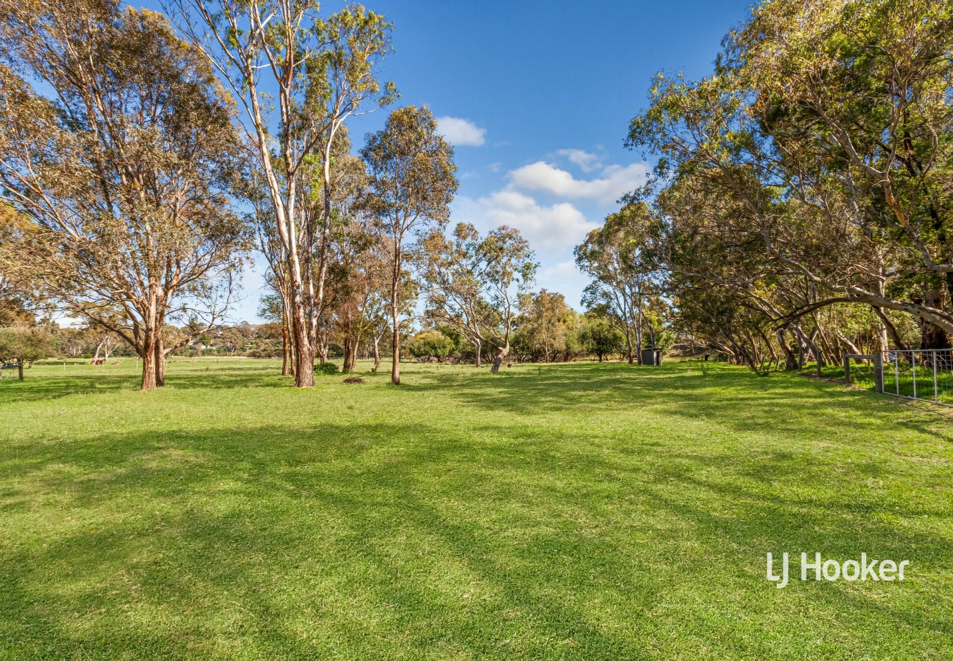 34 BURGES LANE, BROADFORD VIC 3658, 0 rūma, 0 rūma horoi, Section