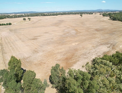  Kurting-Powlett Road, Powlett Plains, Bendigo, 0房, 0浴, Lifestyle Property