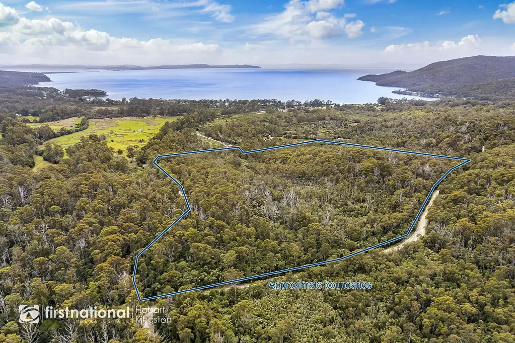 Adventure Bay Inspirational Forest at Adventure Bay on Bruny Island