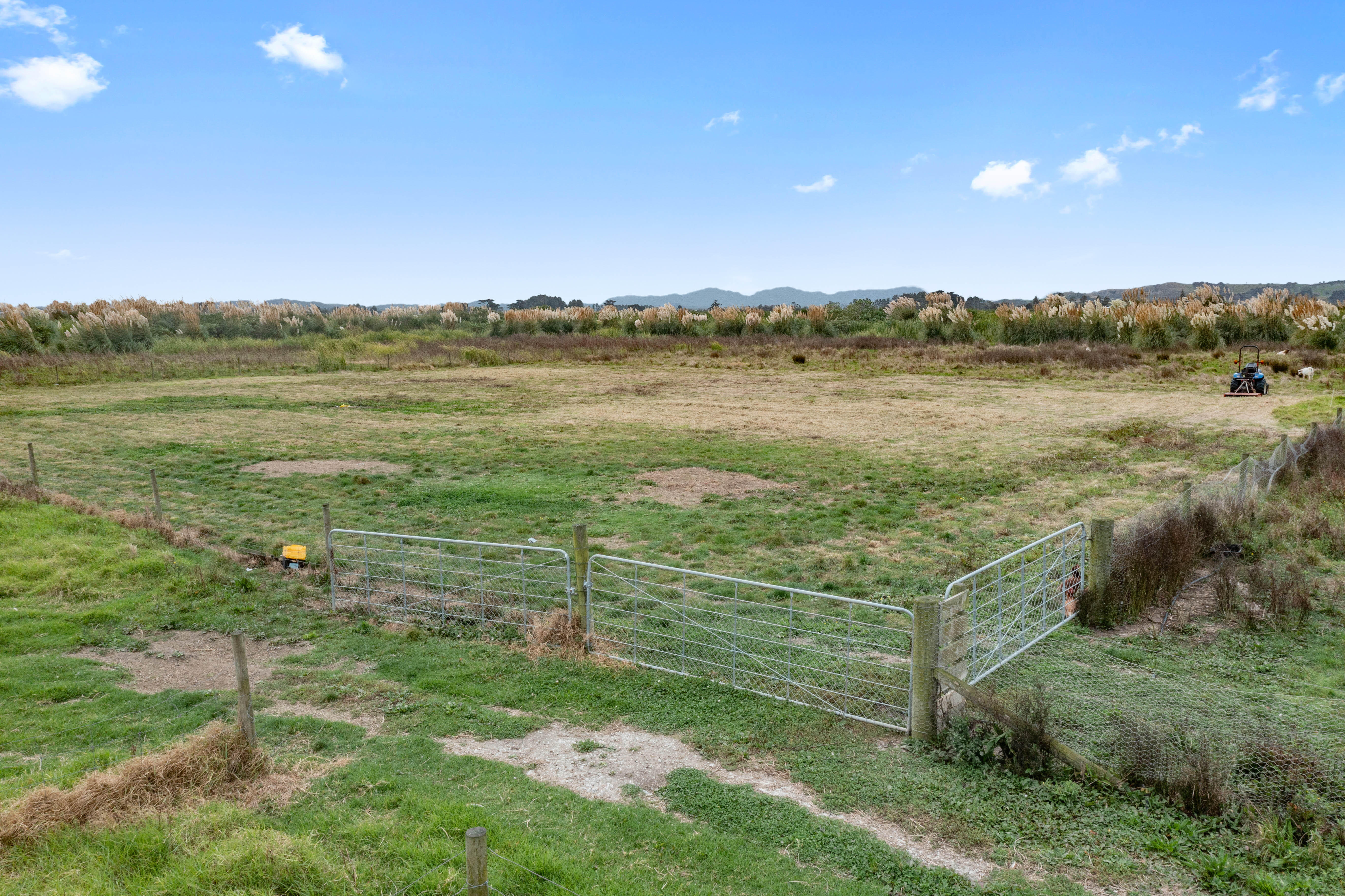 167 Pouto Road, Dargaville, Kaipara, 0 rūma, 1 rūma horoi, Section