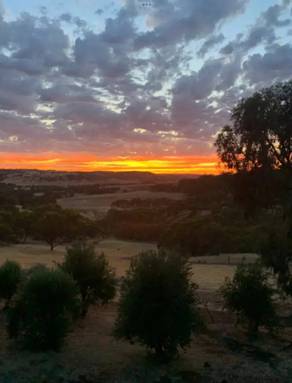 地址保密, Coondle, WA 6566